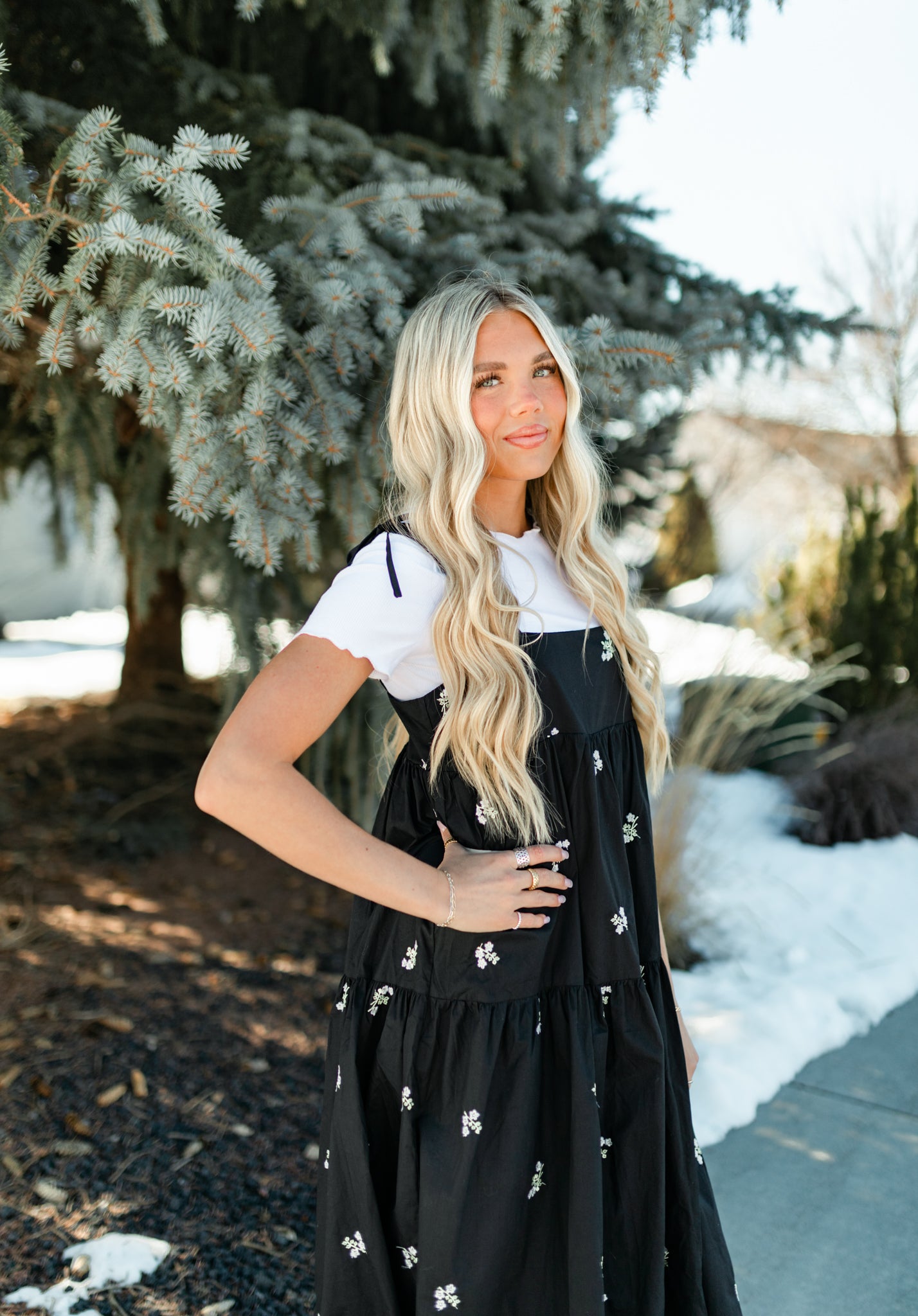 Isabella Dress