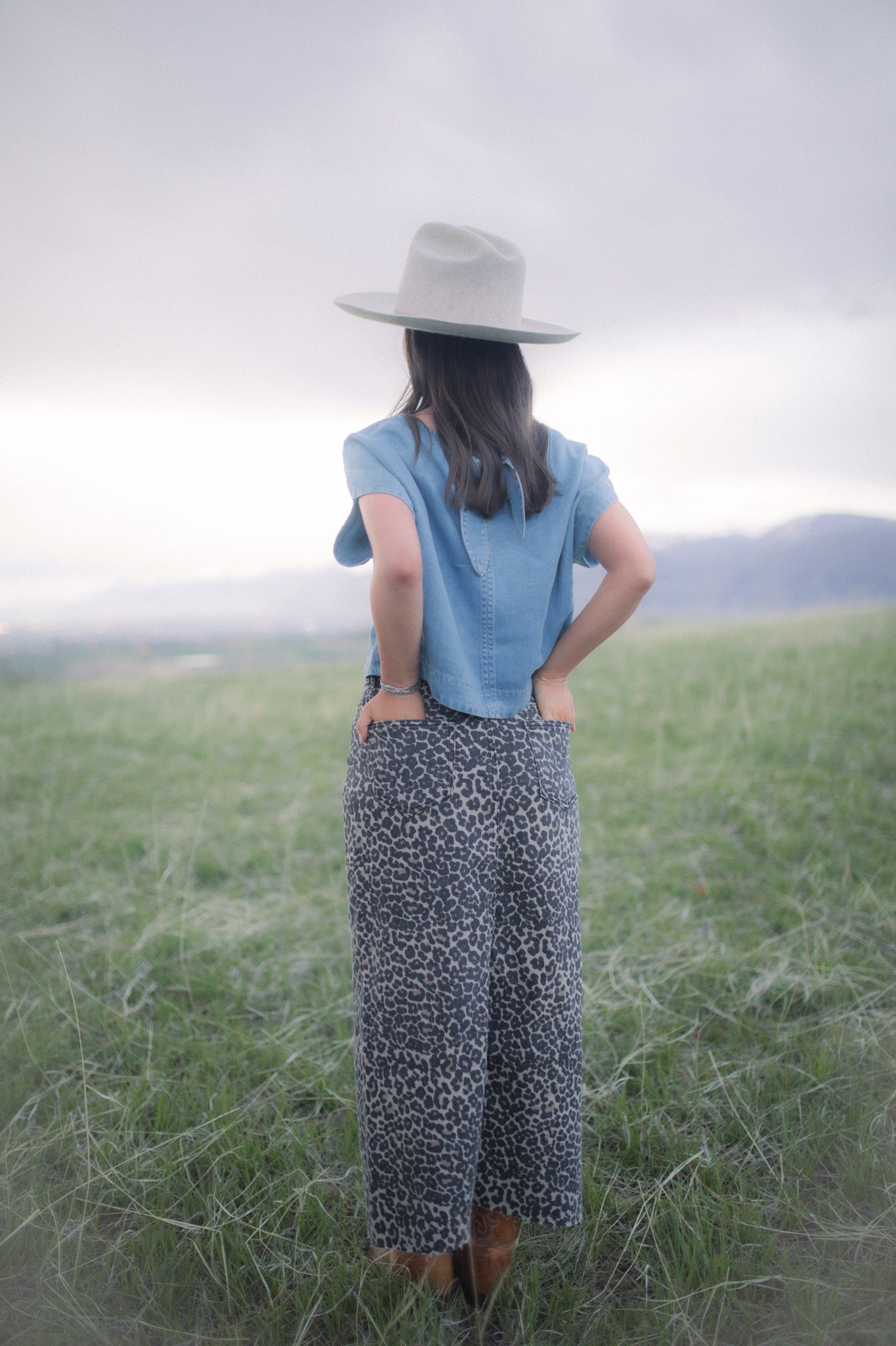 Bailey Denim Skirt
